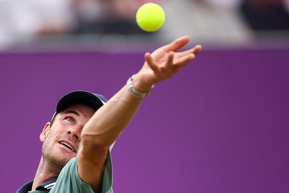 组织了球队 组织了球队